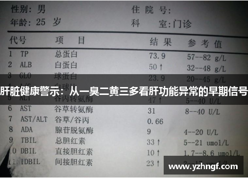 肝脏健康警示：从一臭二黄三多看肝功能异常的早期信号