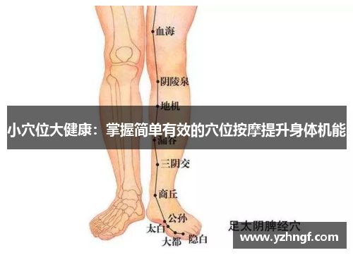 小穴位大健康：掌握简单有效的穴位按摩提升身体机能